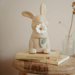 LD Baby Nightlight