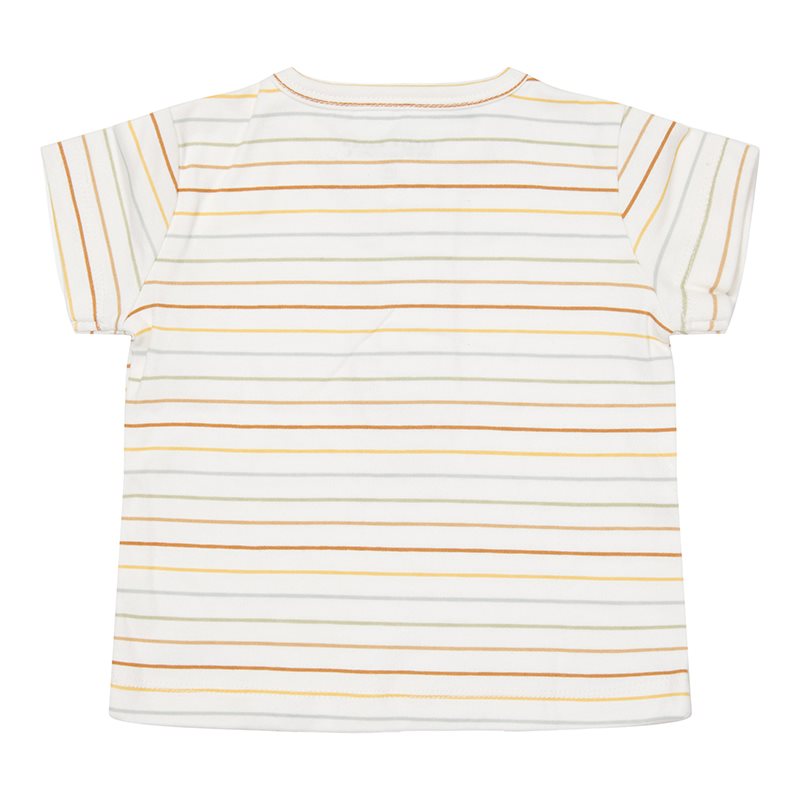 LD Short Sleeve T-shirt Printed- 62