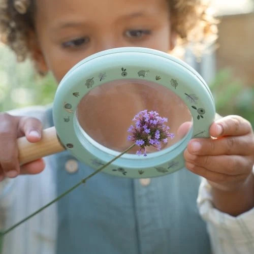 LD Magnifying Glass FSC
