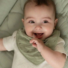 LD Bandana Bibs 2pc