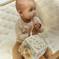 LD Soft Activity Cube Safari Friends