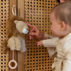 LD Musicbox Lion Safari Friends