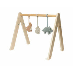 Babygym Toys