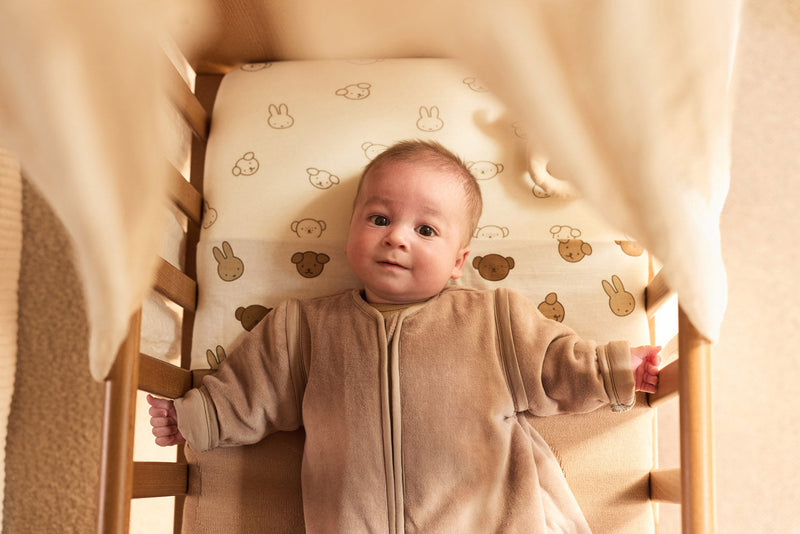 Pacifier Cloth Elephant Tales