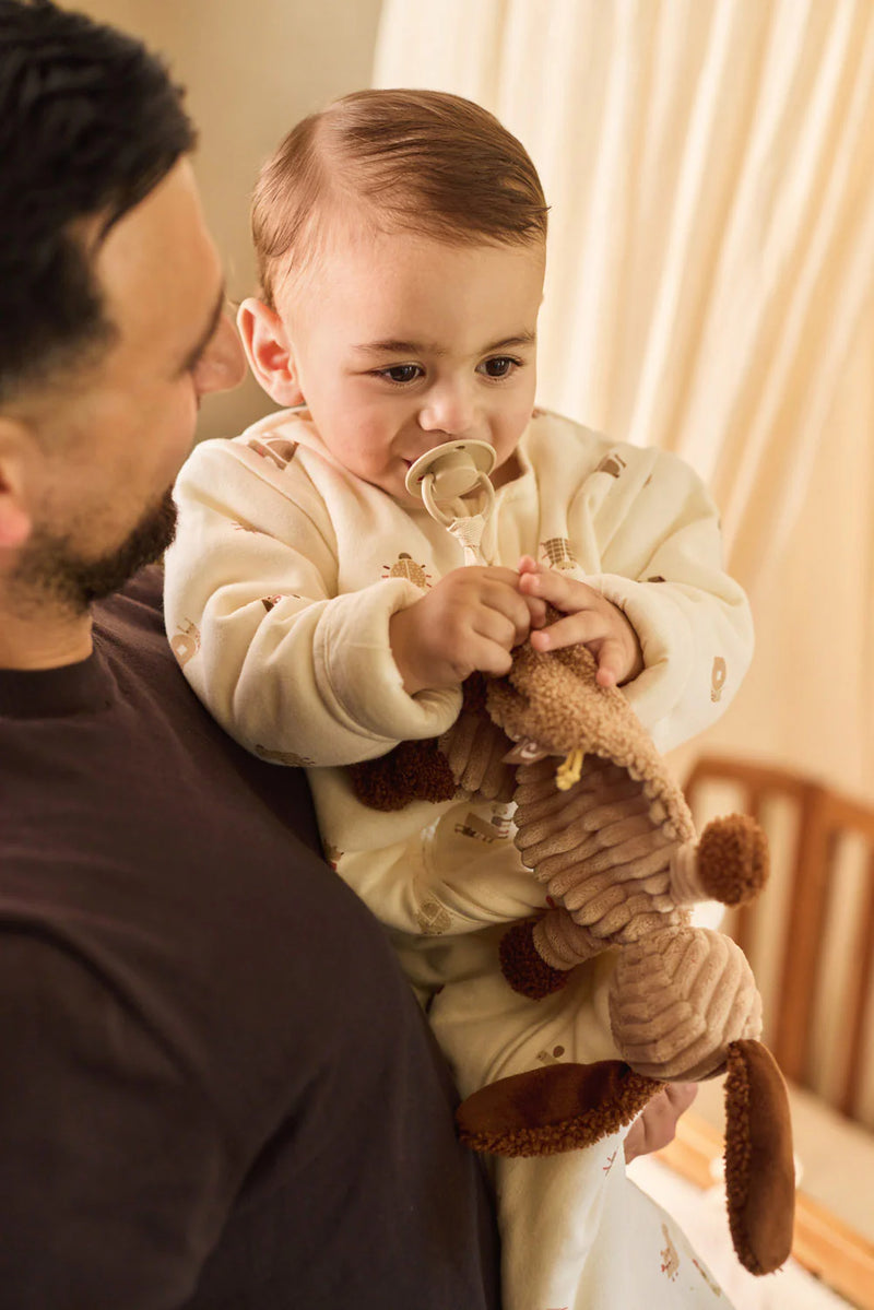 Pacifier Cloth Diego Dog