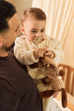 Pacifier Cloth Diego Dog