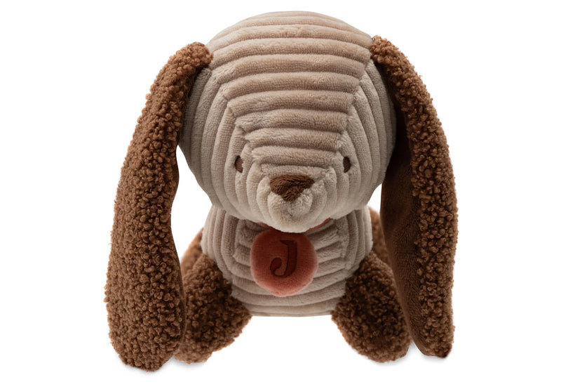 Stuffed Animal  Diego Dog