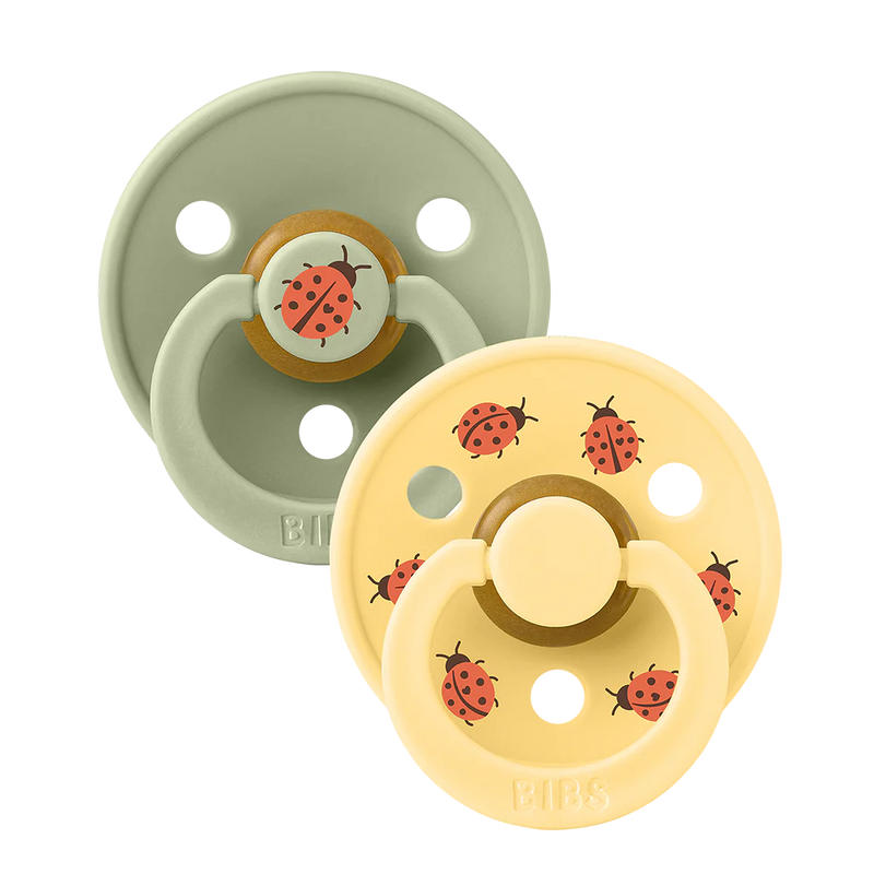 Bibs Pacifier Colour 2 PACK