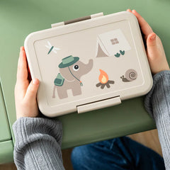Lunchbox With Divider