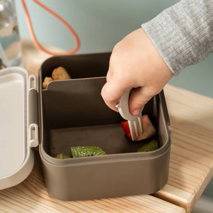 Tiny Lunch Box w/snack picks