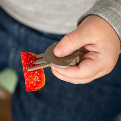 Tiny Lunch Box w/snack picks