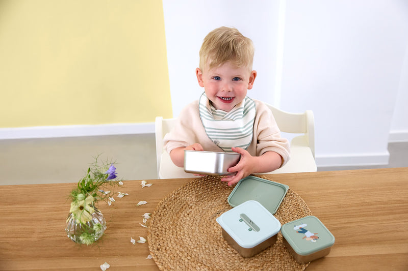 Snackbox Stainless Steel Tiny Team