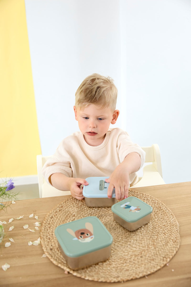 Snackbox Stainless Steel Tiny Team