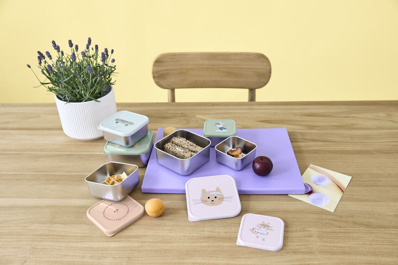 Snackbox Stainless Steel Tiny Team