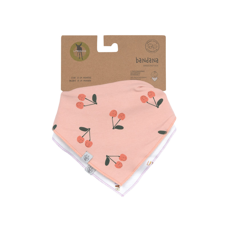 Bandana Bib 2pc Happy Fruits