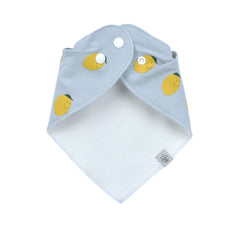 Bandana Bib 2pc Happy Fruits