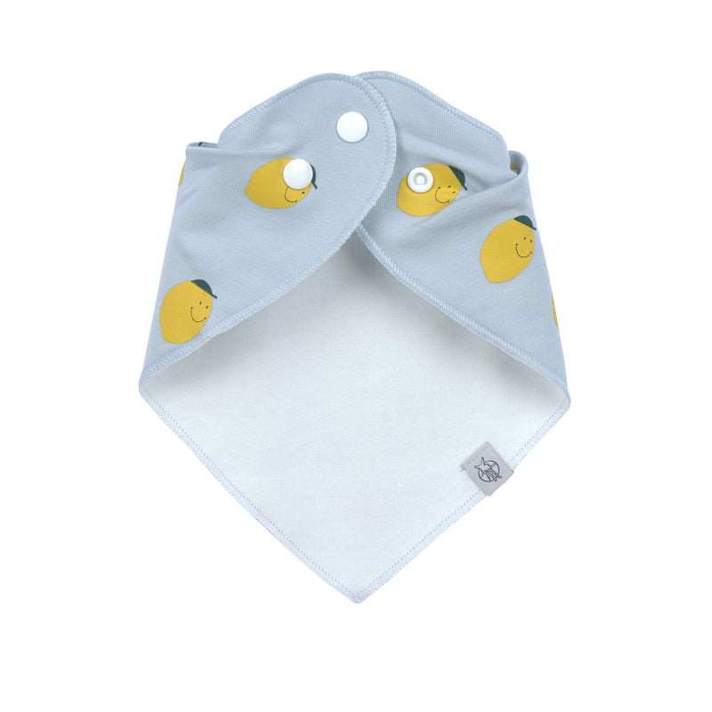 Bandana Bib 2pc Happy Fruits