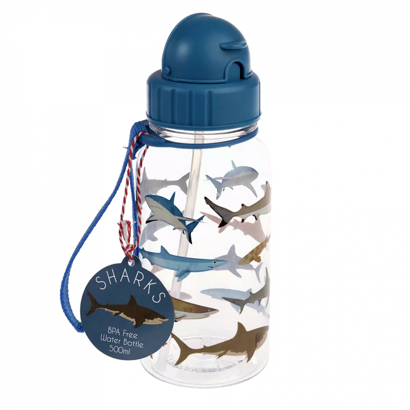 Water Bottle With Straw