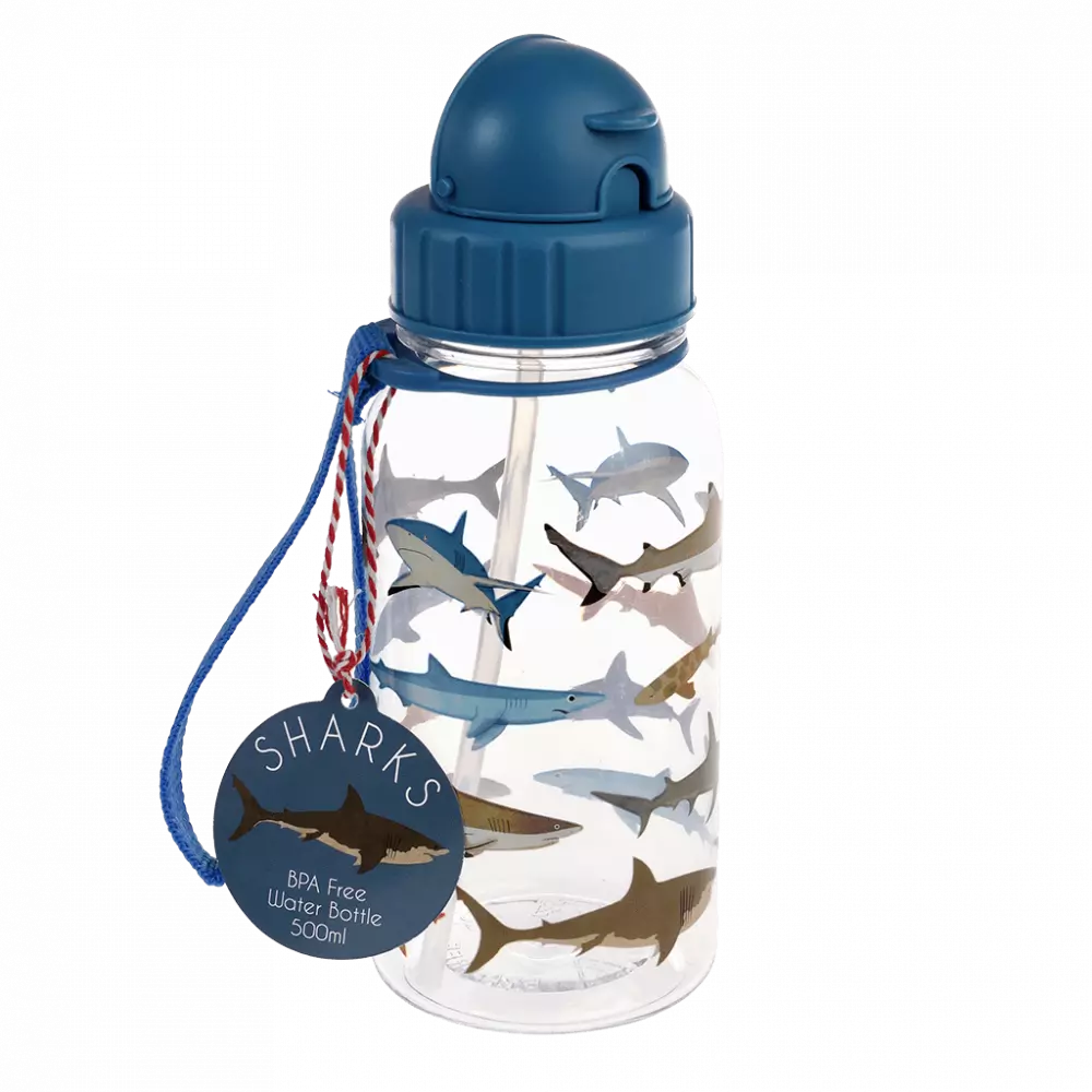 Water Bottle With Straw