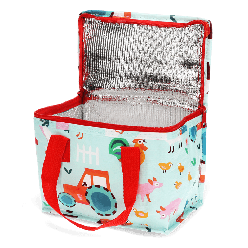 Insulated Lunch Bag