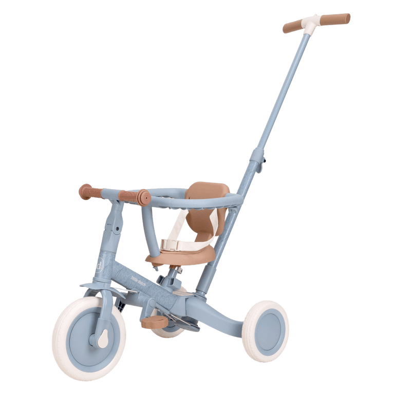 LD Tricycle With Push Bar