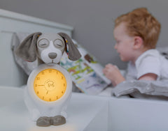 Zazu Davy Sleeptrainer