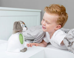 Zazu Davy Sleeptrainer