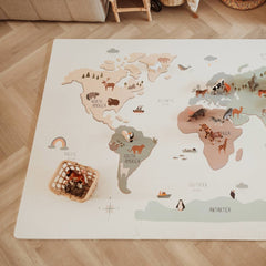 Reversible Playmat & Storage Box EEVAA