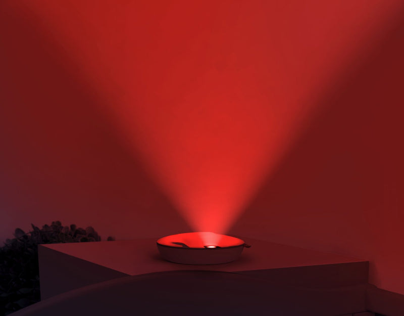 Zazu Emmy Zen Nightlight