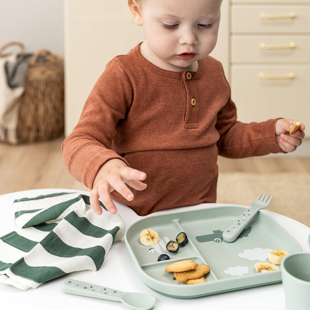 Foodie Compartment Plate