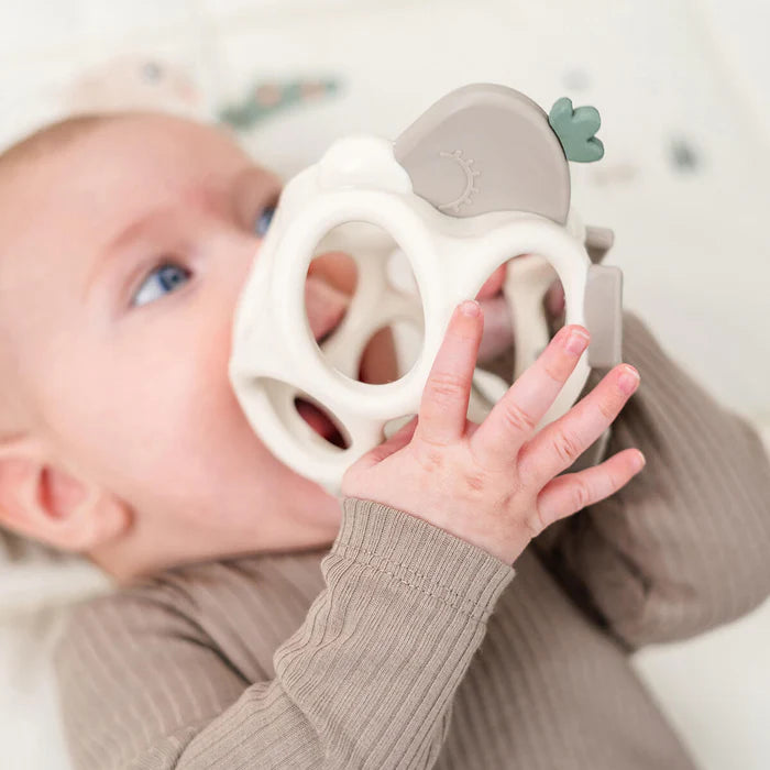 Grip & Teether Toy