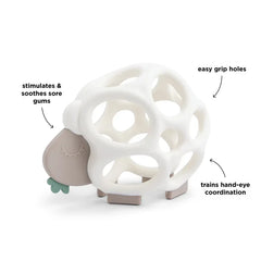 Grip & Teether Toy