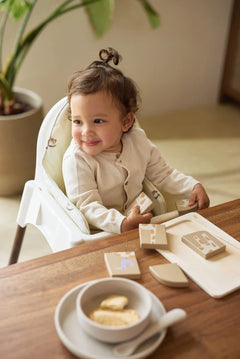 Highchair Cushion Ikea Antilop