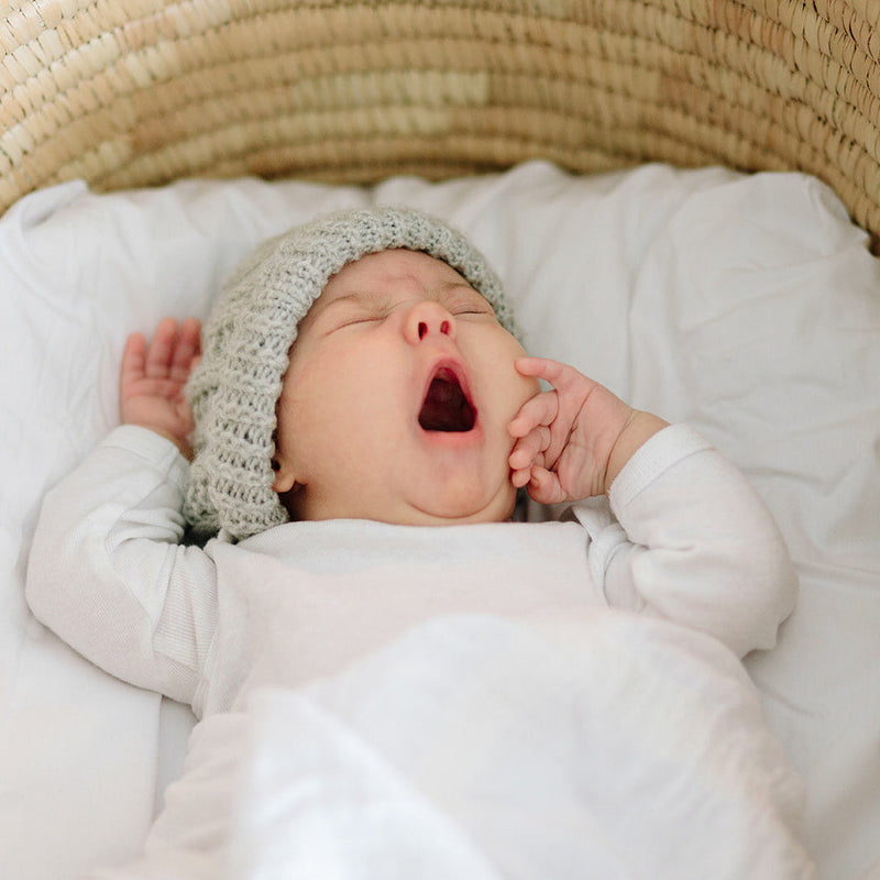 Newborn in the Ko-Coon natural Moses basket