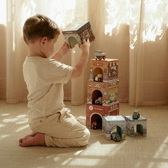 LD Stacking Block With Cars FSC