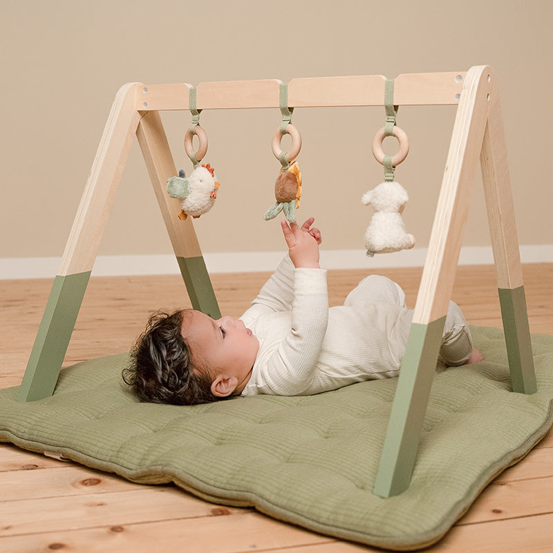 LD Babygym Little Farm