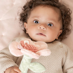 LD Rattle Flower- Fairy Garden