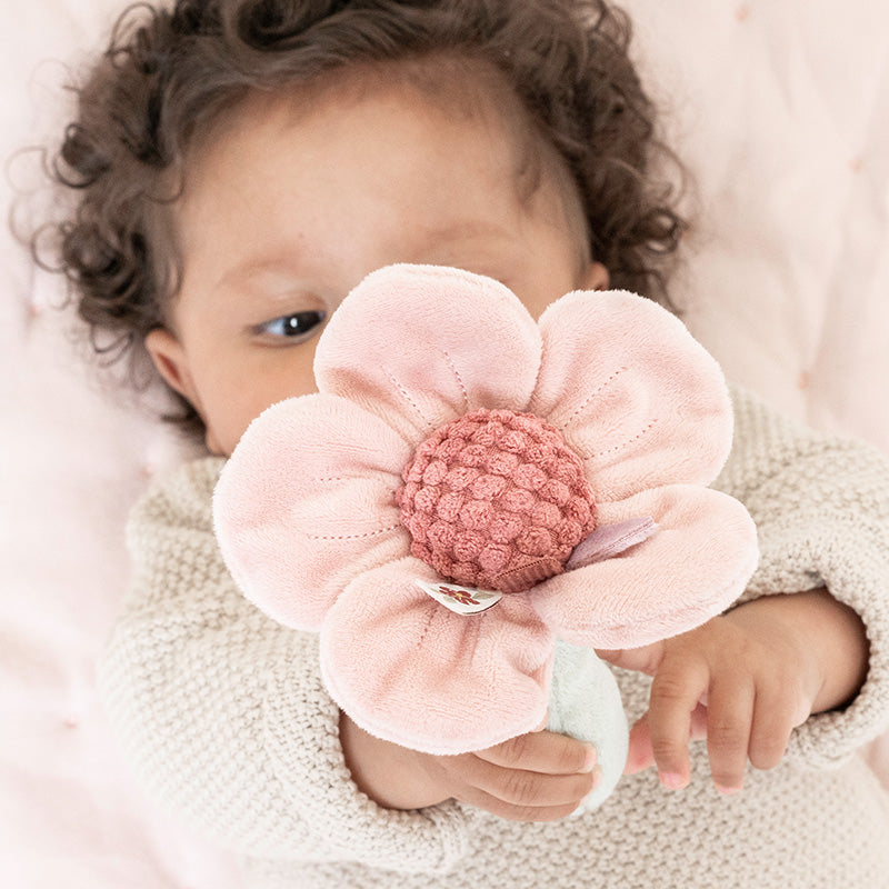 LD Rattle Flower- Fairy Garden