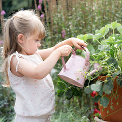 LD Watering Can FSC