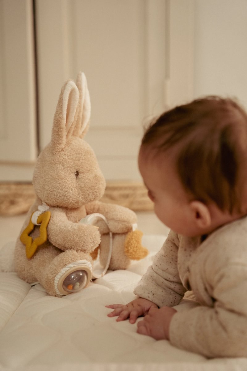LD Activity Cuddle Baby Bunny