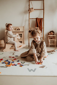 Reversible Playmat & Storage Box EEVAA