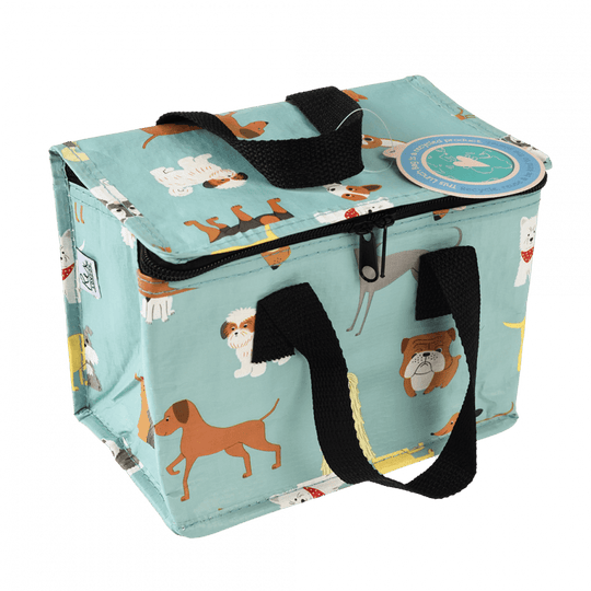 Insulated Lunch Bag