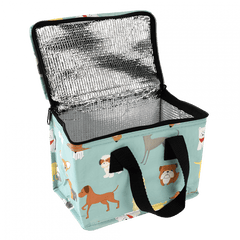 Insulated Lunch Bag