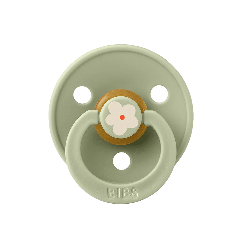 Bibs Studio Pacifier