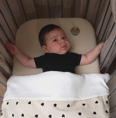 Blanket Embroidered Muslin / Terry