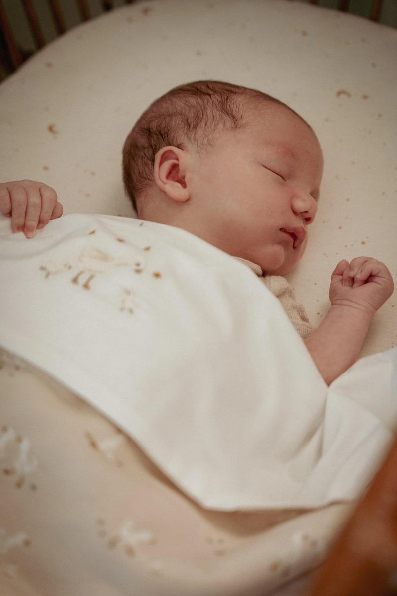 LD Flat Sheet Embroidered