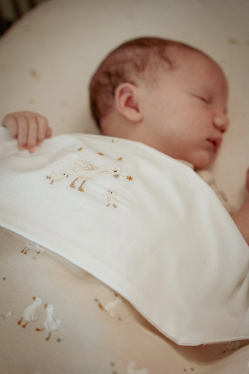 LD Flat Sheet Embroidered