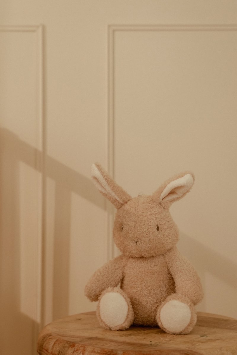LD Cuddle Bunny Light & Sound
