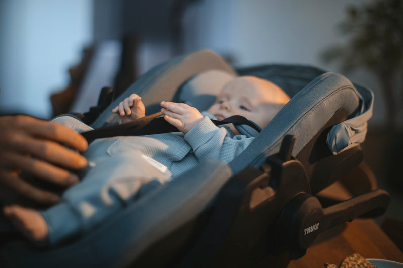 Thule Maple Infant Carseat