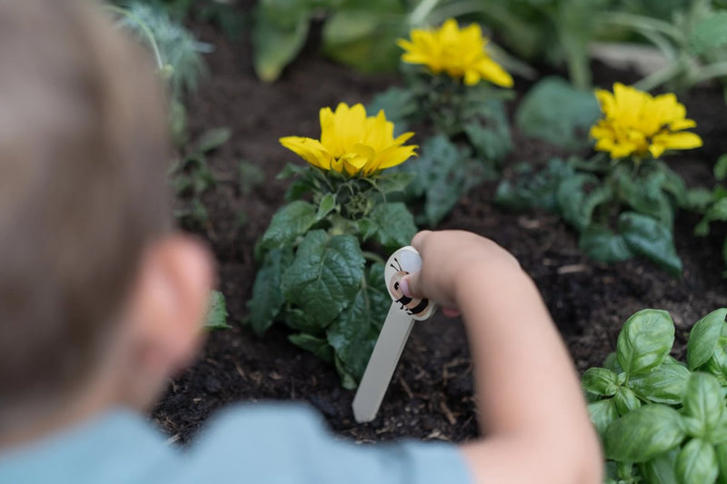 LD Garden Set 10pc FSC